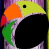 Toucan Painting Projects